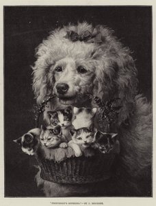 友情の供物 作： Carl Reichert